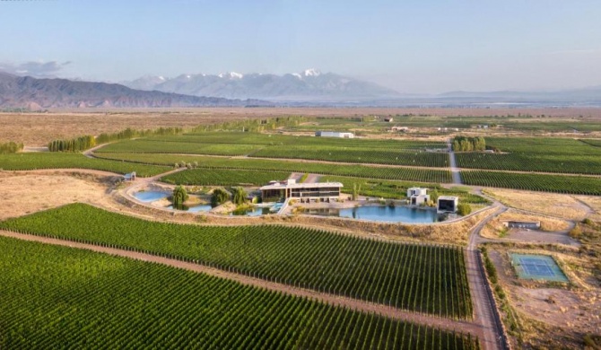 Casa de Uco Vineyards and Wine Resort