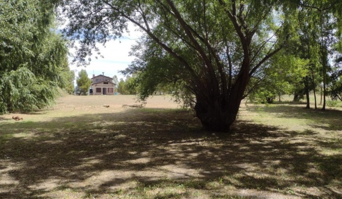 El jardín de los presentes