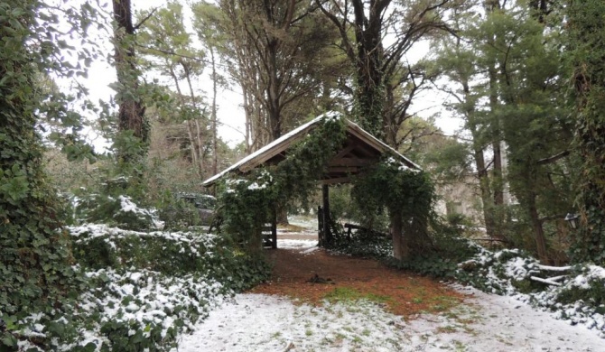 Aldea del bosque