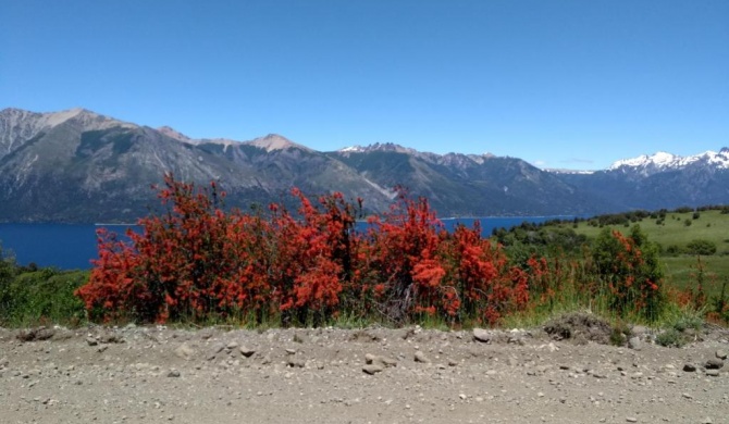 TU RINCON EN LA PATAGONIA