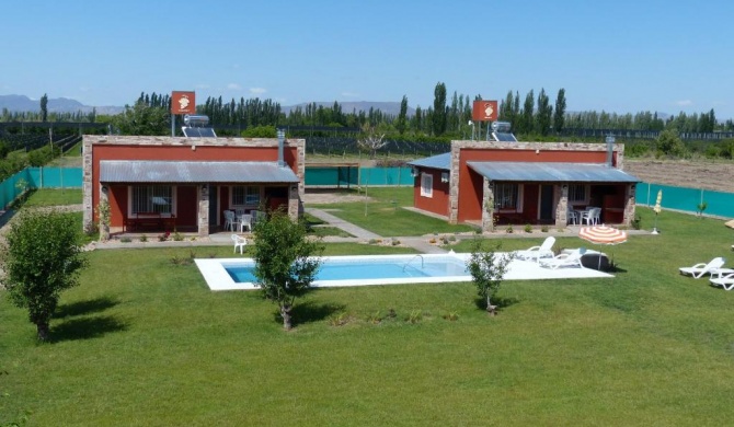 Cabañas Bodega & Viñedos Don Vicente