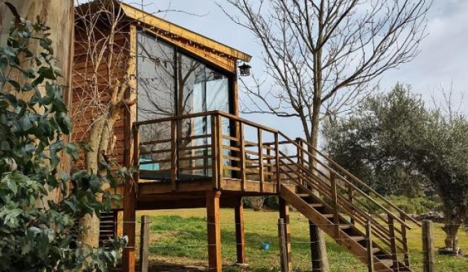 Tiny Ecohousetandil